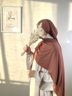 Ready To Wear - جيرسي بريميوم روز وود - Hijab